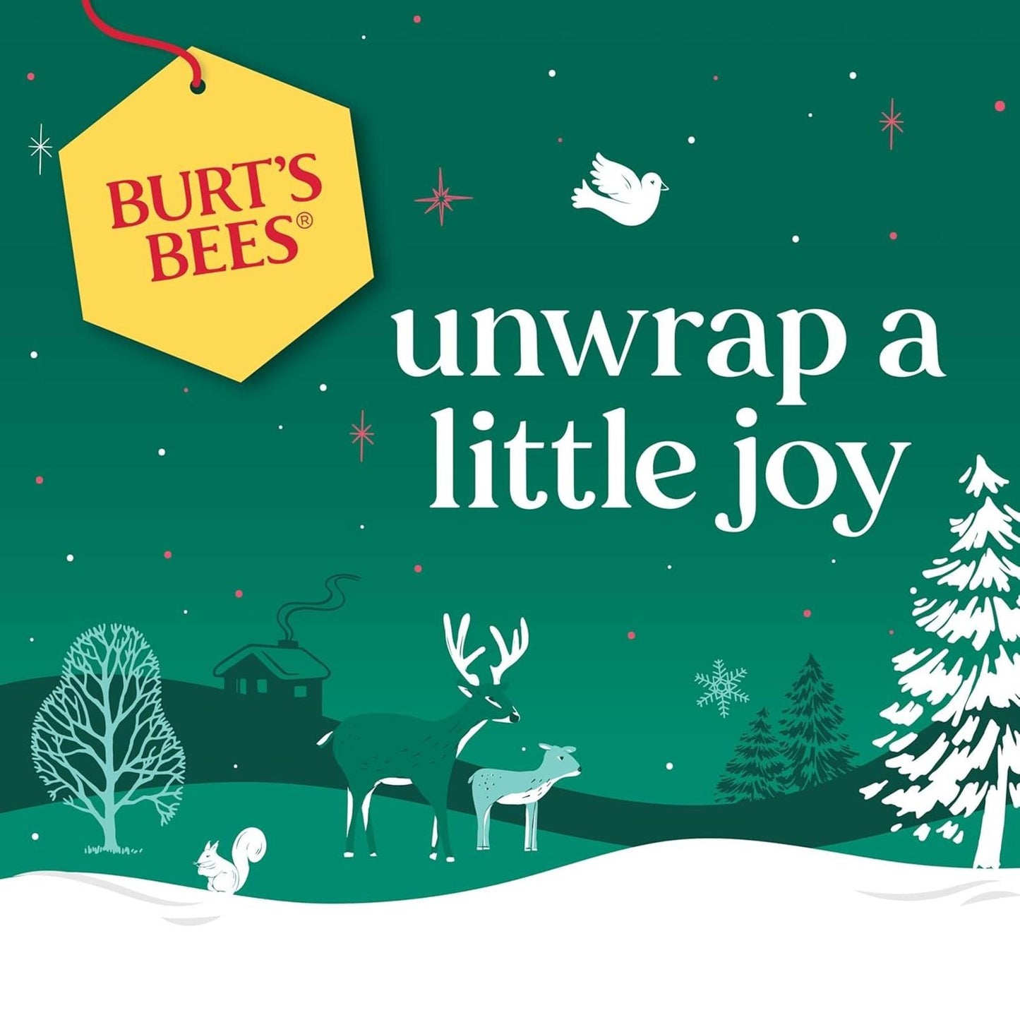 Burt’s Bees Mask Bundle Gift Set; , Ultra Conditioning Lip Balm and Moisturizing